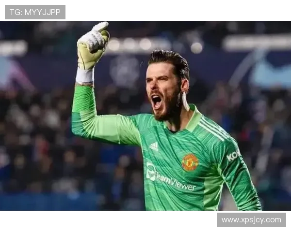 足球场上的璀璨星光：许多足球明星的精彩瞬间与背后故事